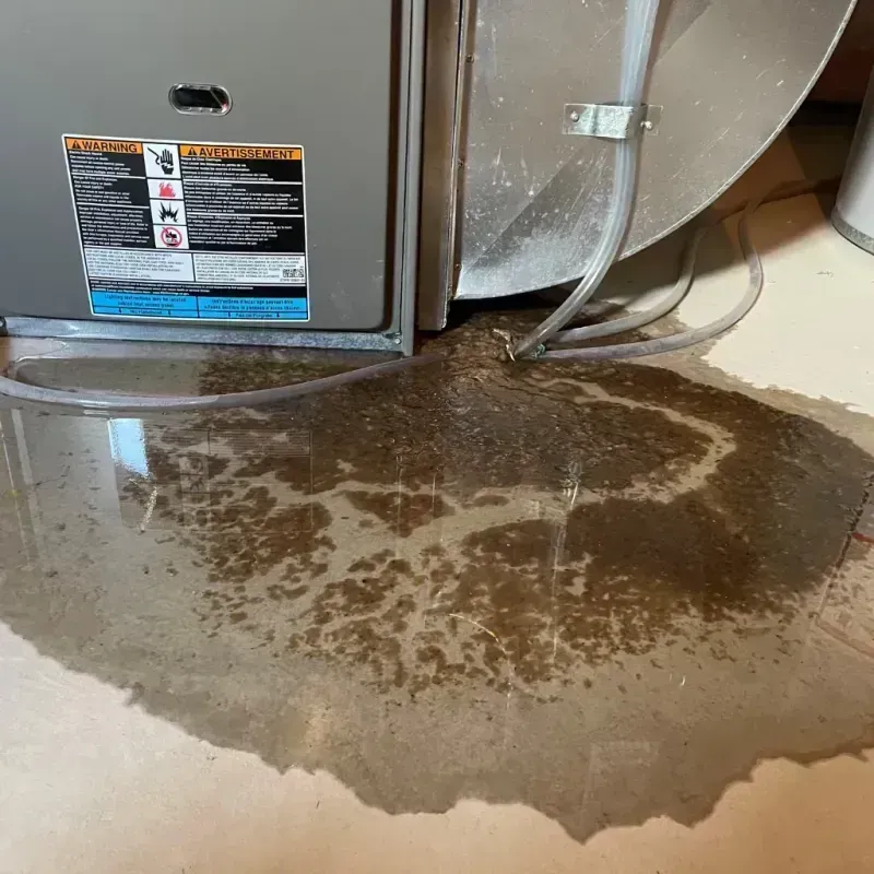 Appliance Leak Cleanup in Camas County, ID